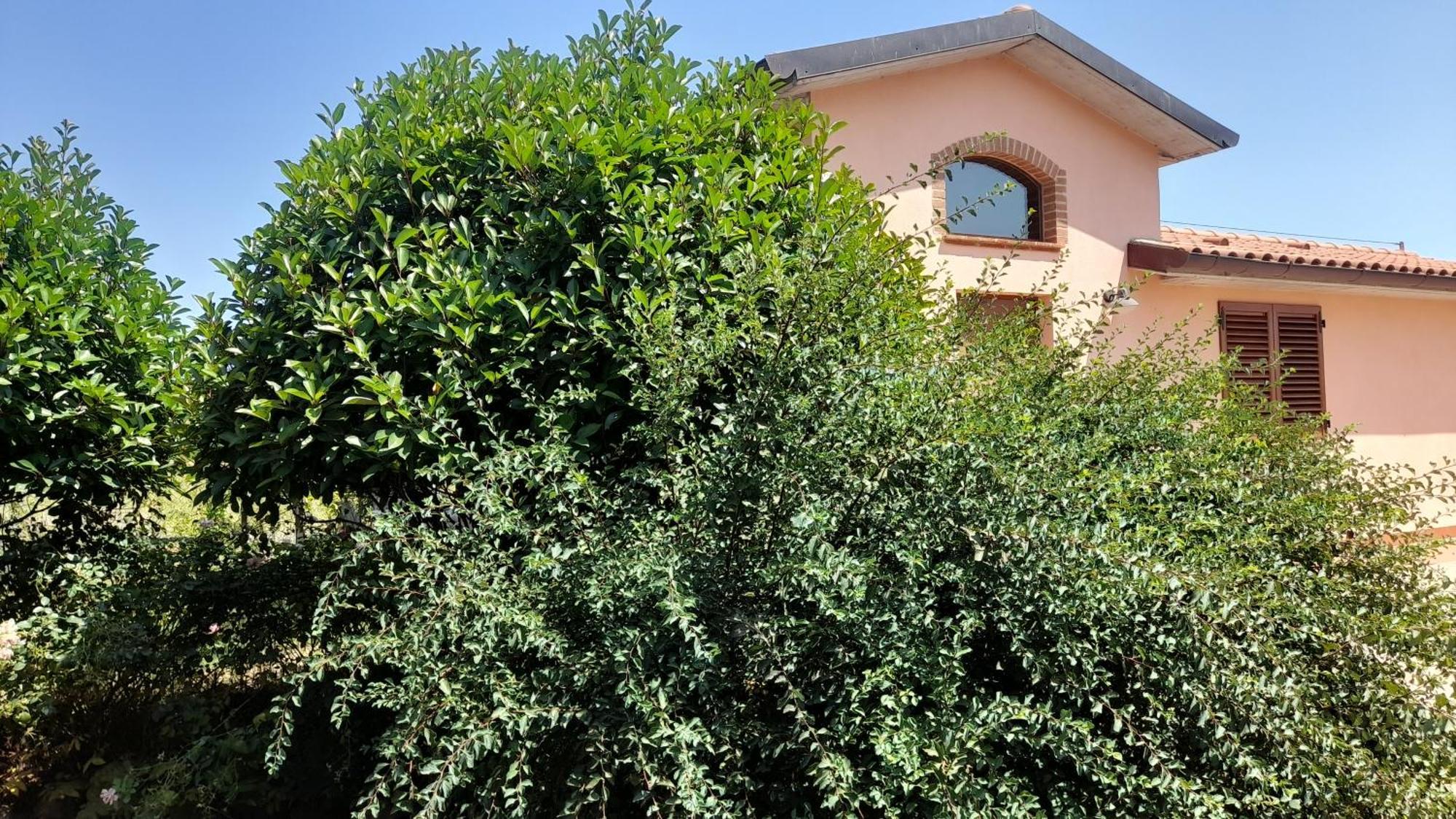 Montepulciano - La Casetta Del Pian Delle Noci Acquaviva  Exterior foto